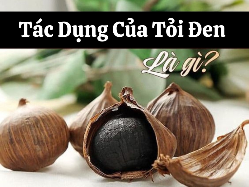 CNG DNG TI EN H NI